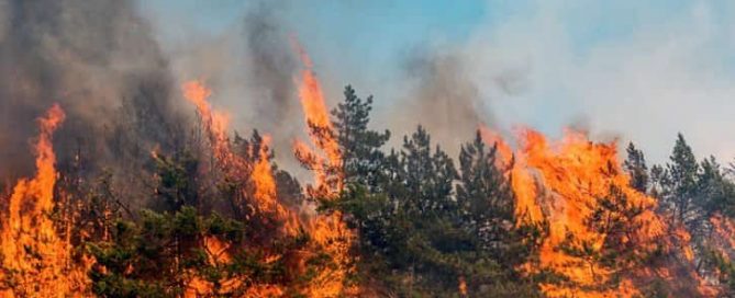 Munn Insurance How to Prepare for a Wildfire