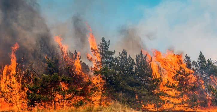 Munn Insurance How to Prepare for a Wildfire