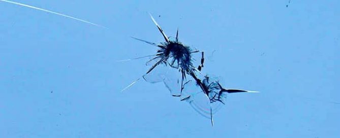 Munn Insurance - How to deal with a cracked windshield