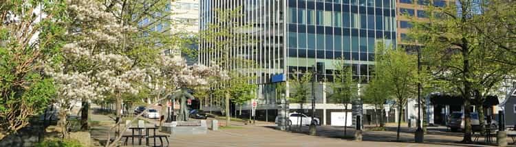 Halifax Auto Insurance Quotes - Save up to 30% with Munn Insurance