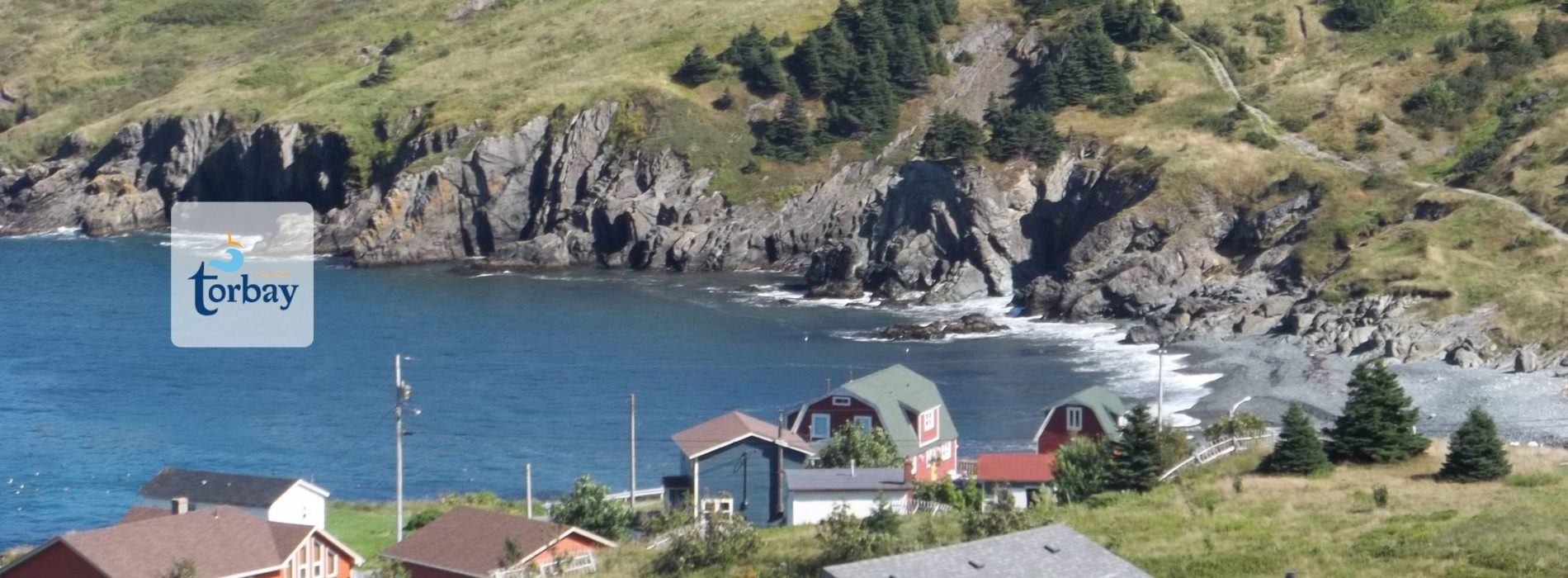 Town of Torbay Noia Group Insurance Munn Insurance