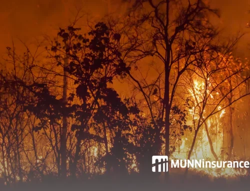 Wildfire Preparedness in Atlantic Canada: Protecting Your Home, Cabin or Business